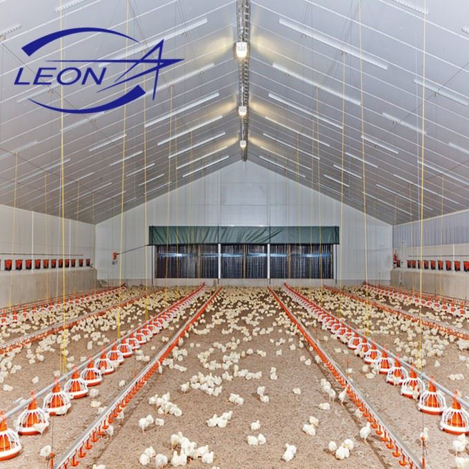 Hot Sale Broiler Cage Chicken Hot Sale Broiler Cage Chicken