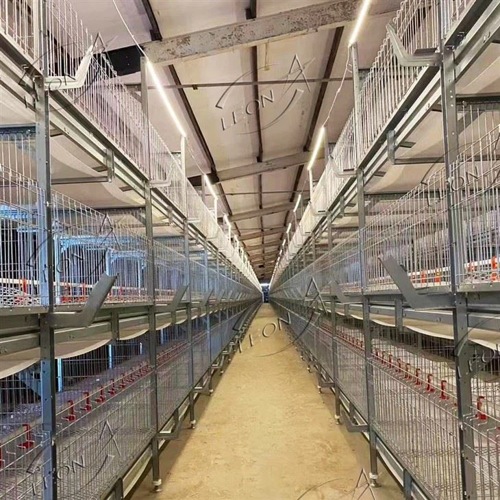 H Type Chicken Cage For Broiler House H Type Chicken Cage For Broiler House