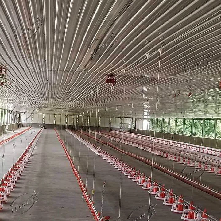 Equipamento avícola para granja
