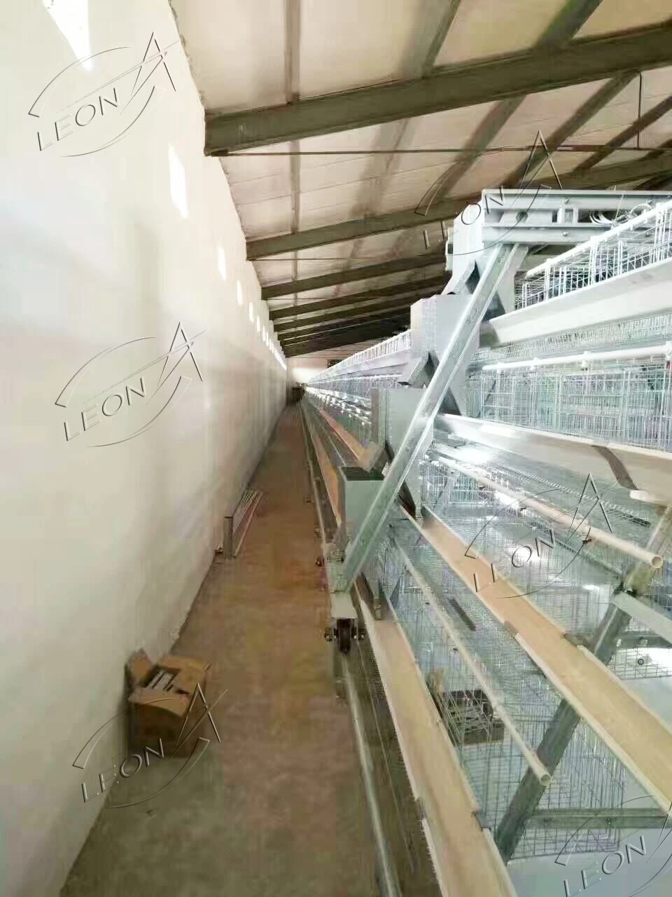 Automatic Egg Collection A-Type Layer Cage System