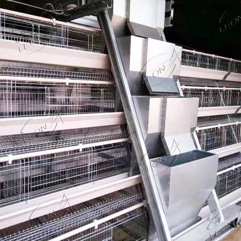 Automatic Egg Collection A-Type Layer Cage System